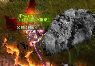 玩家